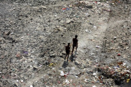 NEWS - Indien: Der Fluss Yamuna in Delhi ist ausgetrocknet