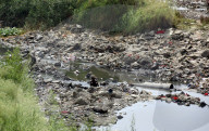 NEWS - Indien: Der Fluss Yamuna in Delhi ist ausgetrocknet