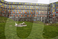 It always felt good here: how Sheffield's brutalist Park Hill estate survived the haters and their bulldozers