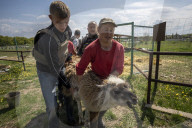 NEWS - Ukraine-Krieg: Tiere werden aus dem Ökopark in Charkiw zur Sicherheit nach Poltawa gebracht