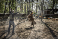 NEWS - Ukraine-Krieg: Tiere werden aus dem Ökopark in Charkiw zur Sicherheit nach Poltawa gebracht