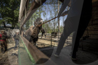 NEWS - Ukraine-Krieg: Tiere werden aus dem Ökopark in Charkiw zur Sicherheit nach Poltawa gebracht