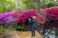 Isabella Plantation in Richmond Park, London.