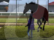 SPORT - Vorbereitungen fürs jährliche Kentucky Derby, Louisville