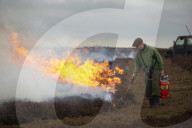 It has become them and us’: the battle to burn England’s moorlands