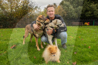 Pen Farthing: 'Animals in a cargo hold never got in the way of people getting on a flight'