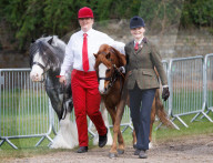 FEATURE - Royal Windsor Horse Show 2022