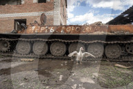 NEWS - Ukraine-Krieg:  Ein von den ukrainischen Streitkräften zerstörter russischer Panzer in Wilhivka, Ukraine