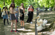 Hot weather in London, St James’s Park, London, UK.Hot weather in Londons St Jamess Park