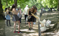 Hot weather in London, St James’s Park, London, UK.Hot weather in Londons St Jamess Park