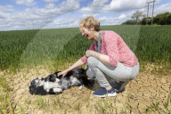People say they want me arrested: the owners putting their pets on vegan diets.