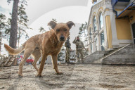 NEWS - Ukraine-Krieg: Schwere Zerstörungen in Bucha