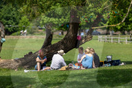Hottest day of the year expected for London and the South East.  