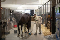 Behind the scenes with the Household Cavalry mounted regiment at Hyde Park Barracks, London