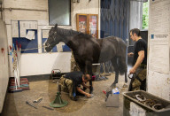 Behind the scenes with the Household Cavalry mounted regiment at Hyde Park Barracks, London
