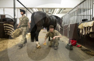 Behind the scenes with the Household Cavalry mounted regiment at Hyde Park Barracks, London