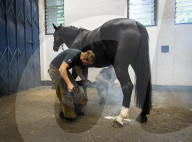Behind the scenes with the Household Cavalry mounted regiment at Hyde Park Barracks, London