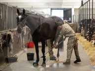 Behind the scenes with the Household Cavalry mounted regiment at Hyde Park Barracks, London