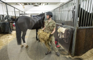 Behind the scenes with the Household Cavalry mounted regiment at Hyde Park Barracks, London