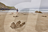 FEATURE - Riesige Tyrannosaurus-Rex-Fussabdrücke an einem Strand in Wales für eine neue Doku-Serie