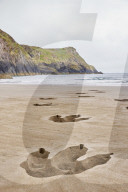 FEATURE - Riesige Tyrannosaurus-Rex-Fussabdrücke an einem Strand in Wales für eine neue Doku-Serie