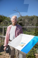 A 7m wall has gone up on a Sydney beach: are we destroying public space to save private property?