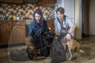 We had too much to do to be scared: the couple who fled Irpin with 19 dogs