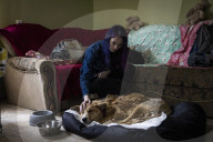 We had too much to do to be scared: the couple who fled Irpin with 19 dogs