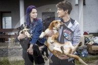 We had too much to do to be scared: the couple who fled Irpin with 19 dogs