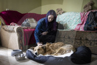 We had too much to do to be scared: the couple who fled Irpin with 19 dogs