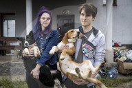 We had too much to do to be scared: the couple who fled Irpin with 19 dogs