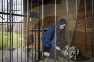 We had too much to do to be scared: the couple who fled Irpin with 19 dogs