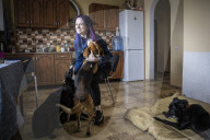 We had too much to do to be scared: the couple who fled Irpin with 19 dogs