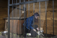We had too much to do to be scared: the couple who fled Irpin with 19 dogs
