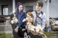 We had too much to do to be scared: the couple who fled Irpin with 19 dogs