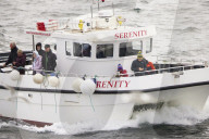 They will often give you a wee nip’: rangers count puffins on Farne Islands