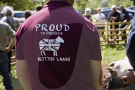 Eskdale tup fair for breeders of the distinctive Cumbrian sheep.