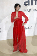 FILMFESTIVAL CANNES 2022 - Promis bei der amfAR Gala