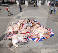 PETA Supporters hold a  ‘Die-In’ Against the use of Bearskin Caps at Marble Arch, London, Great Britain 28th May 2022. 