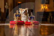 ROYALS - Die Ausstellung der Kronjuwelen und Krönchen von Castle Howard erhält das Corgi-Gütesiegel 
