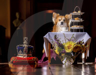 ROYALS - Die Ausstellung der Kronjuwelen und Krönchen von Castle Howard erhält das Corgi-Gütesiegel 