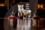 ROYALS - Die Ausstellung der Kronjuwelen und Krönchen von Castle Howard erhält das Corgi-Gütesiegel 