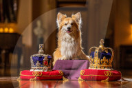ROYALS - Die Ausstellung der Kronjuwelen und Krönchen von Castle Howard erhält das Corgi-Gütesiegel 