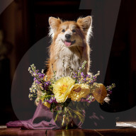 ROYALS - Die Ausstellung der Kronjuwelen und Krönchen von Castle Howard erhält das Corgi-Gütesiegel 