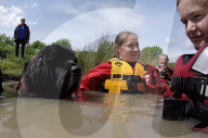 ‘You feel so light’: swimming dogs help emergency workers deal with trauma.