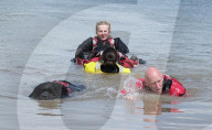 ‘You feel so light’: swimming dogs help emergency workers deal with trauma.