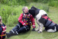 ‘You feel so light’: swimming dogs help emergency workers deal with trauma.