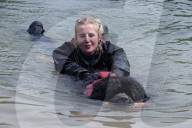 ‘You feel so light’: swimming dogs help emergency workers deal with trauma.