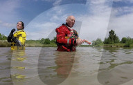 ‘You feel so light’: swimming dogs help emergency workers deal with trauma.