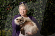 Feline fine: the Melbourne cat lovers show – in pictures